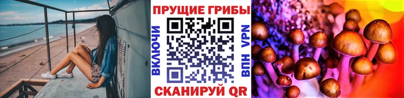 хочу   Старица  KRAKEN онион  Псилоцибиновые грибы Magic Shrooms 